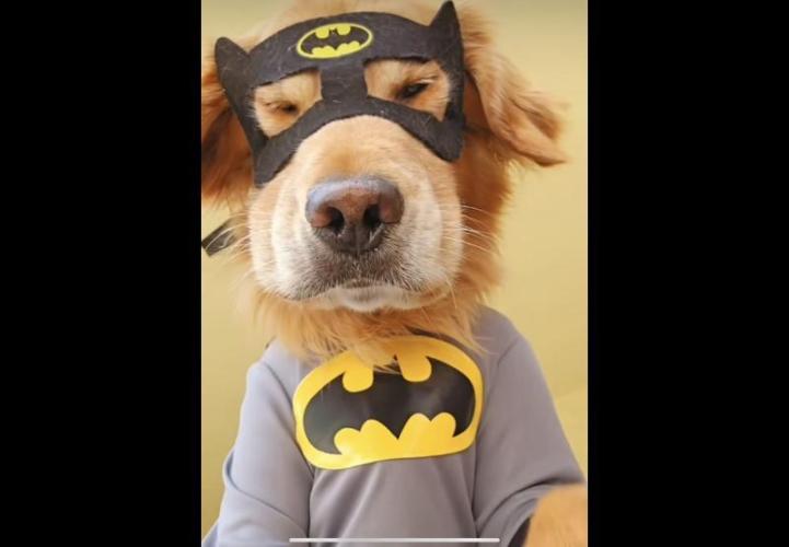 💪🔥⚡ Hulk OG - by IZI. Week 15 - Not the Hulk