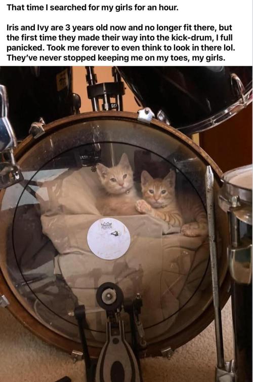 Gelatdos Jabb... My crossing.. Week 15 - Hours ad Hours...