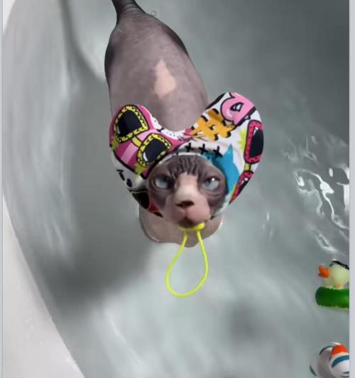 🍋 Lemon 🍊 Mandarin 😎 🤗 🤩. Week 16 - 🤣😂😋😆