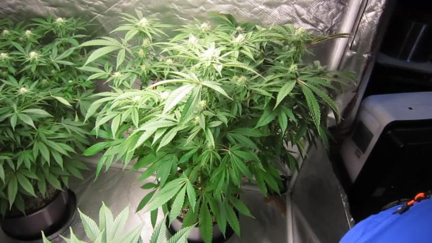 💪🔥⚡ Hulk OG - by IZI