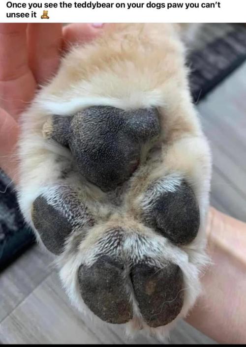 💪🔥⚡ Hulk OG - by IZI. Week 16 - You just Can't