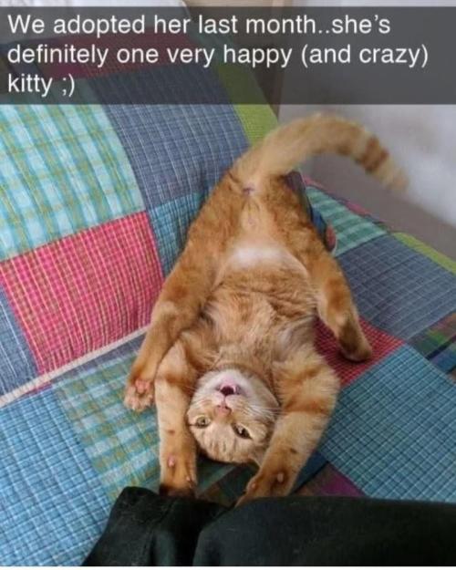 💪🔥⚡ Hulk OG - by IZI. Week 16 - Loopy.