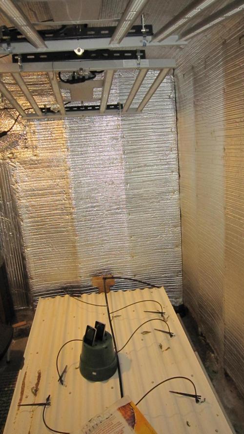 Best Clones... Showing off my.... Week 14 - Empty room - Mars Hydro Lights FC-4800