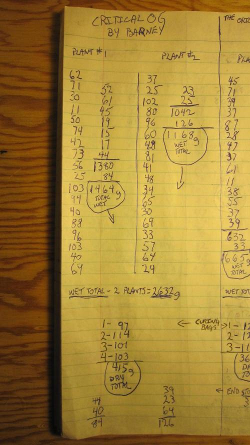 Best Clones... Showing off my.... Week 14 - Critical OG totals