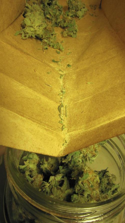 Best Clones... Showing off my.... Week 14 - Trail of trichomes while putting the buds into 6 - 1 liter jars