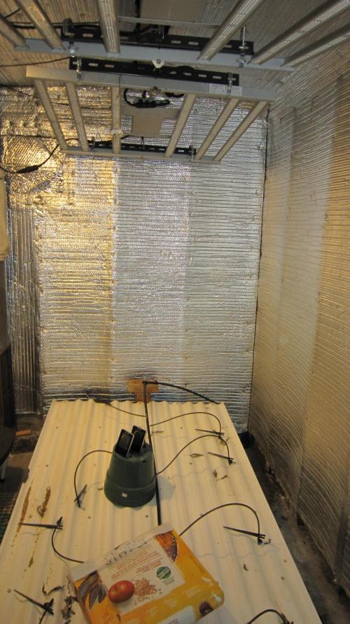 Best Clones... Showing off my.... Week 14 - All Empty Now - Mars Hydro Light FC-4800