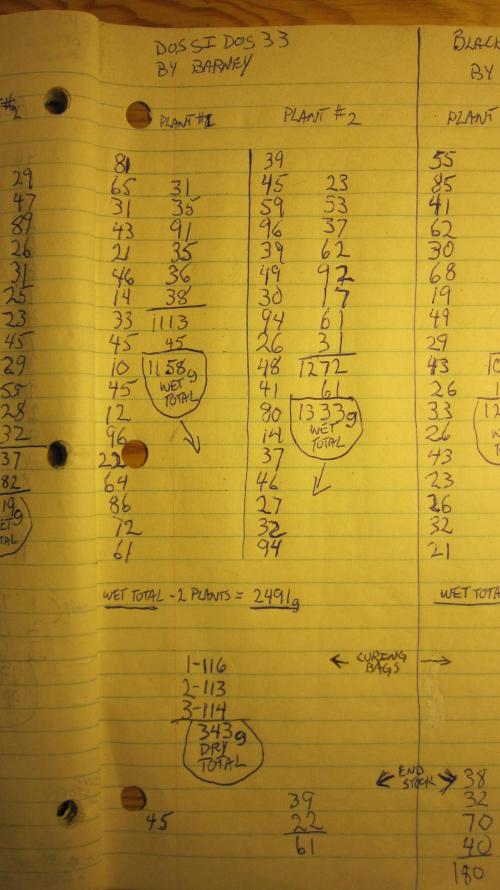 Best Clones... Showing off my.... Week 14 - Dos Si Dos 33 - For those who like to see the numbers.