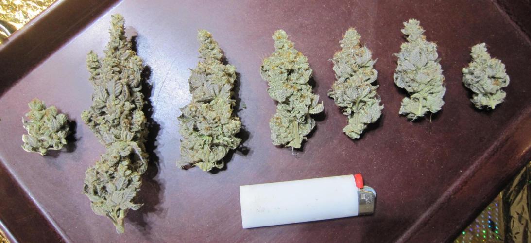 Best Clones... Showing off my.... Week 14 - Dos Si Dos 33 - Dried Buds taste's like fruity ice cream. Delicious.