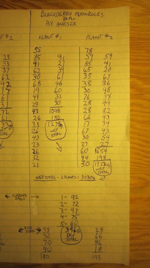 Best Clones... Showing off my.... Week 14