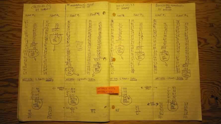 Best Clones... Showing off my.... Week 14 - Room Totals are on the orange tag