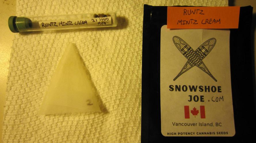 Runtz Mintz Cream by SnowShoe Joe. Week 0 - Runtz Mintz Cream - There was no name on the pack so that's what I came up with.