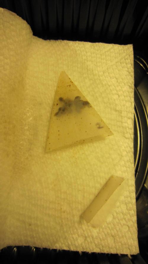 Runtz Mintz Cream by SnowShoe Joe. Week 0 - 24 hours later...