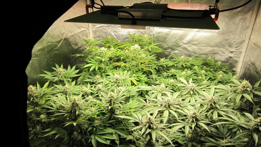 🍋 Lemon 🍊 Mandarin 😎 🤗 🤩. Week 17 - Group Shot...