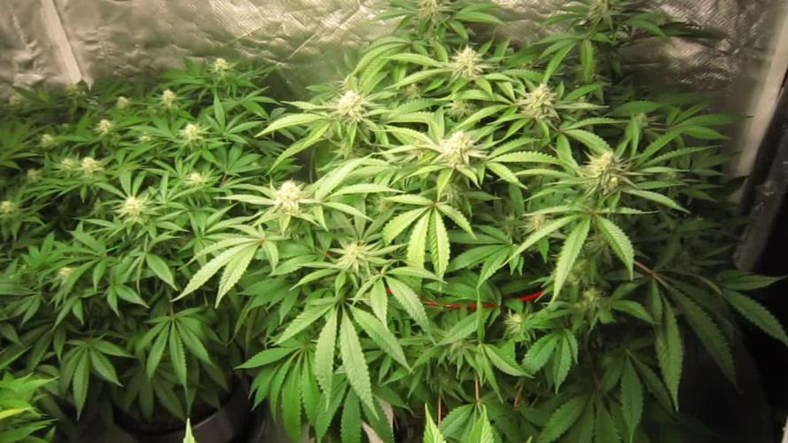 💪🔥⚡ Hulk OG - by IZI