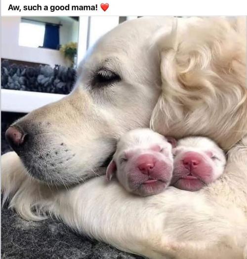 💪🔥⚡ Hulk OG - by IZI. Week 17 - Ahhh!!....