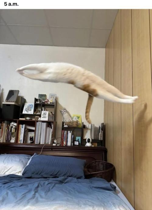 💪🔥⚡ Hulk OG - by IZI. Week 17 - Holy Cow!?!  Bouncing off the walls at..  What Time???