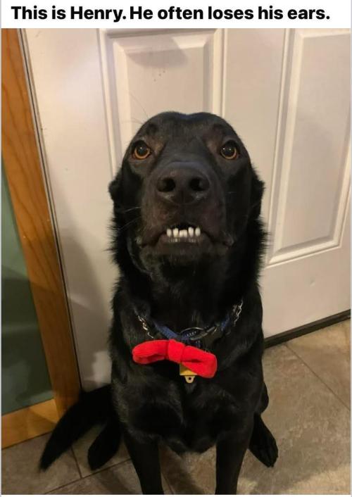 💪🔥⚡ Hulk OG - by IZI. Week 17 - Ahhh. Henry....