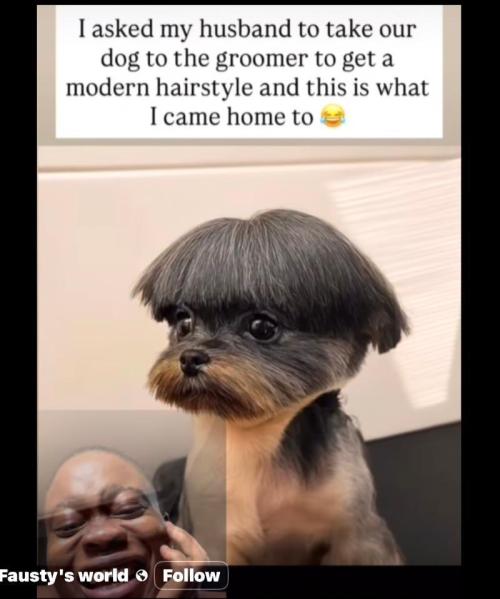 Runtz Mintz Cream by SnowShoe Joe. Week 1 - Looks Great...