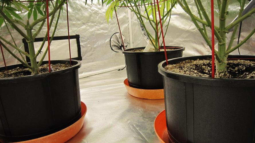 Gelatdos Jabb... My crossing.. Week 17 - All cleaned up under here.