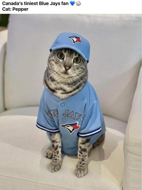 Gelatdos Jabb... My crossing.. Week 17 - Go Jays. Canada's pro Baseball Team. Spring training starts soon.