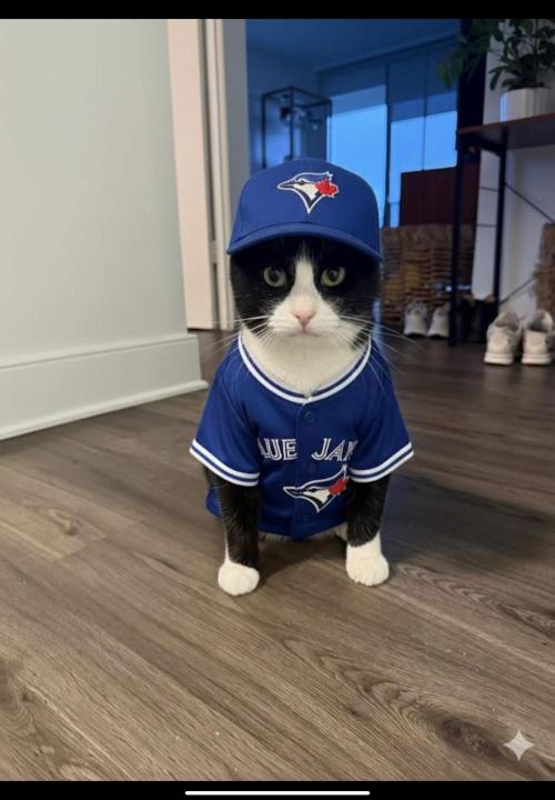 Gelatdos Jabb... My crossing.. Week 17 - How did they find a hat to fit? They finished 2nd last year... No prize for 2nd.