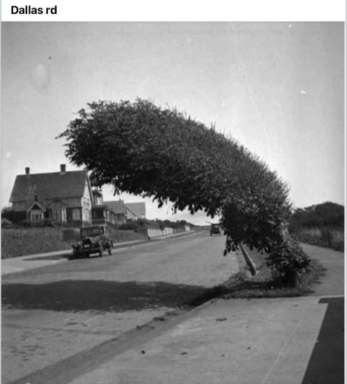 Gelatdos Jabb... My crossing.. Week 17 - My hometown...  Showing the constant wind right at the water front.
