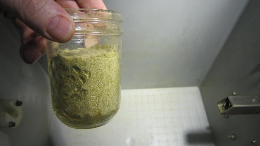 Gelatdos Jabb... My crossing.. Week 17 - Almost fill the jar!