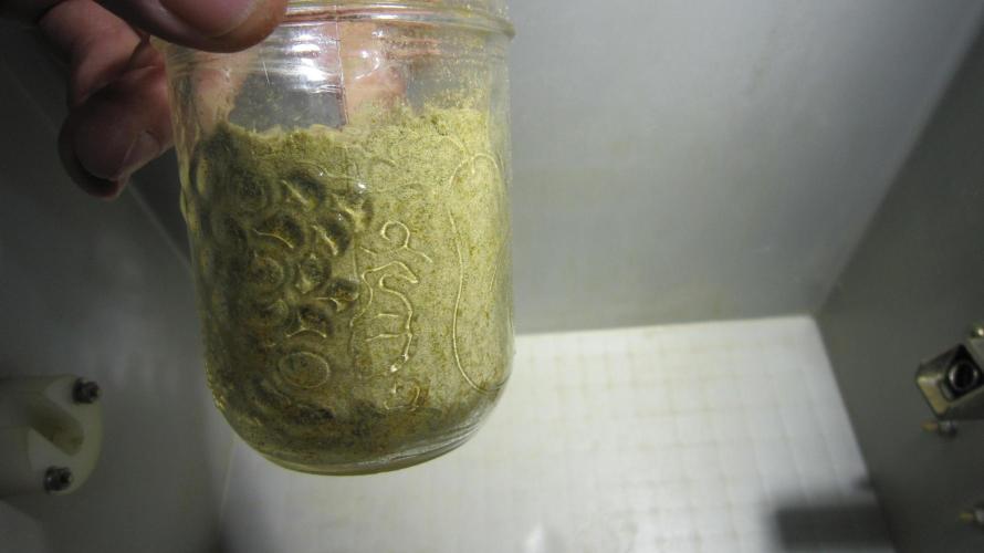 💪🔥⚡ Hulk OG - by IZI. Week 18 - Almost filled the jar.