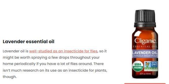 Runtz Mintz Cream by SnowShoe Joe. Week 2 - Look it up for yourself if your  interested.