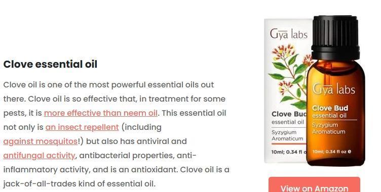 Runtz Mintz Cream by SnowShoe Joe. Week 2 - I use some myself.