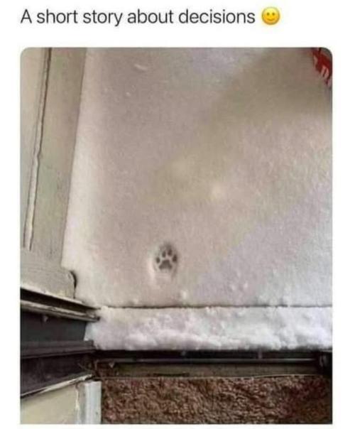 🍋 Lemon 🍊 Mandarin 😎 🤗 🤩. Week 19 - Not Today!!!!