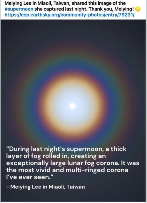 🍋 Lemon 🍊 Mandarin 😎 🤗 🤩. Week 19 - Ring Around.