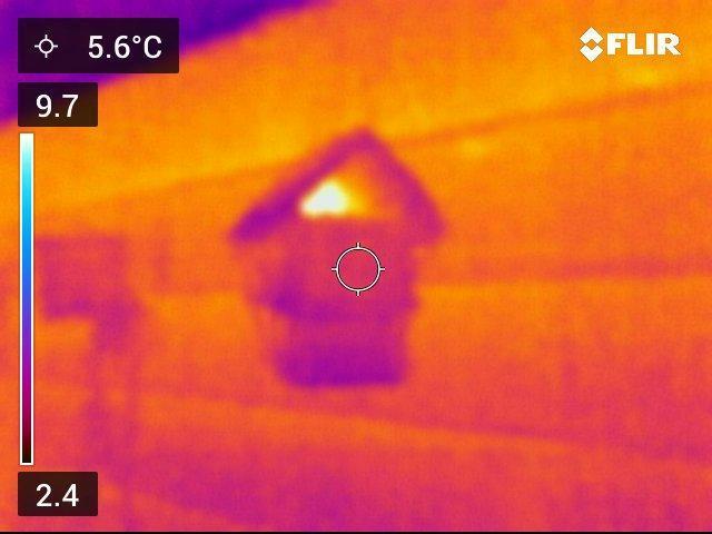 Gelatdos Jabb... My crossing.. Week 18 - Bird sleeping in the mason bee house