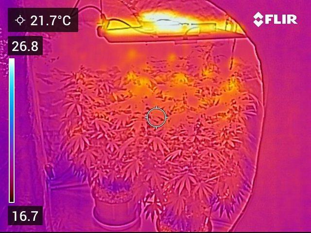 Gelatdos Jabb... My crossing.. Week 18 - Same shot in thermal.