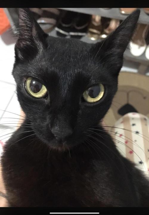 💪🔥⚡ Hulk OG - by IZI. Week 19 - Look Out!!!