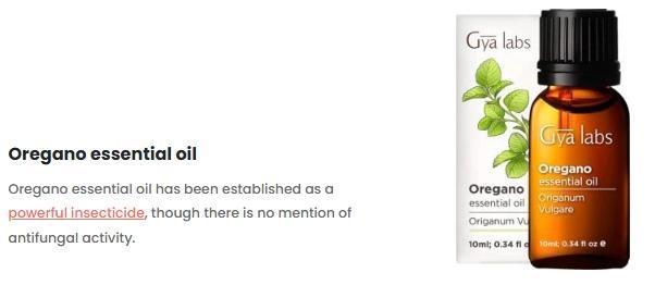 Runtz Mintz Cream by SnowShoe Joe. Week 3 - More essential Oil to fight Pests