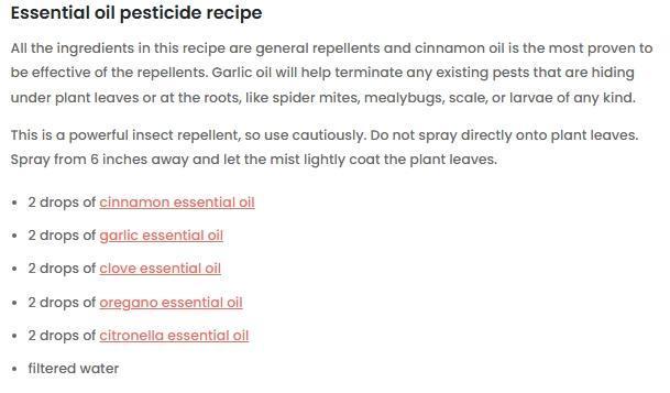 Runtz Mintz Cream by SnowShoe Joe. Week 4 - Trying to help you fight pests