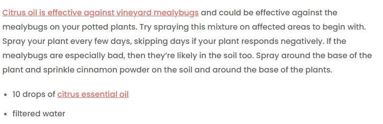 Runtz Mintz Cream by SnowShoe Joe. Week 4 - For Mealybugs