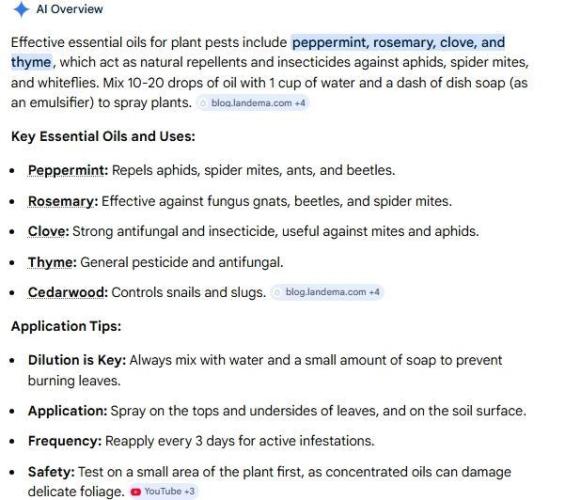 Runtz Mintz Cream by SnowShoe Joe. Week 5 - Asked "AI" about essential oils and here's what "it" said.