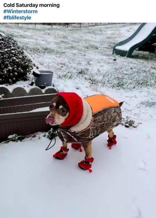 Runtz Mintz Cream by SnowShoe Joe. Week 6 - Man... Now that's cold.