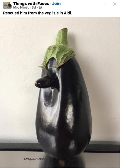 Gelatdos Jabb... My crossing.. Week 22 - An eggplant with an eggplant.
