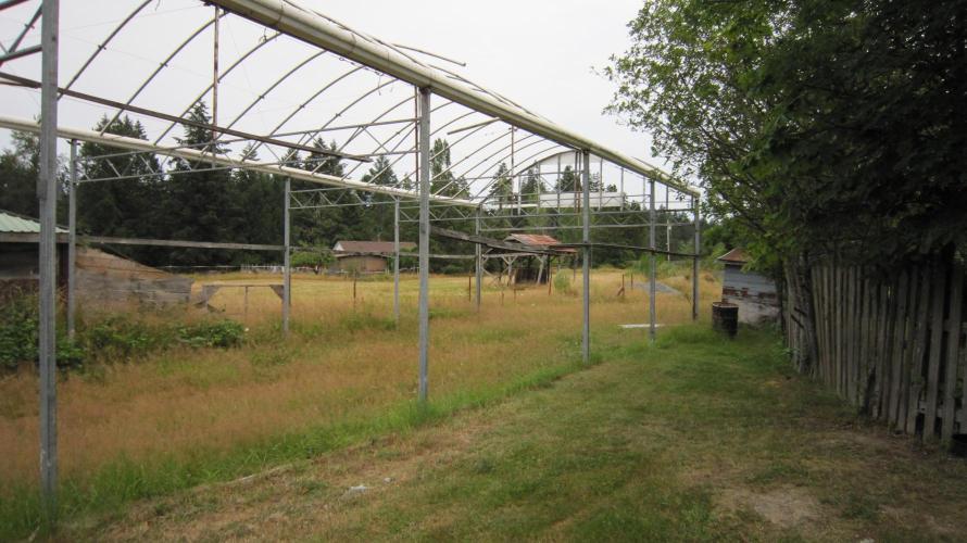 Gelatdos Jabb... My crossing.. Week 22 - My friends greenhouse last year