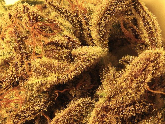 💪🔥⚡ Hulk OG - by IZI. Week 23 - Resin Shot