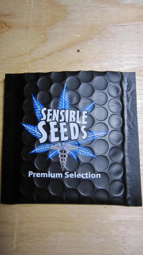 M.A.C.-Sensible Seeds-Premium Selection. Week 1 - Seed Package - The way the seeds came