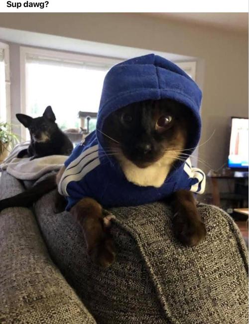 Banana 🍌 Gold Rush  🏆💰🌟. Week 0 - In The Hood. Me and Old Blacky