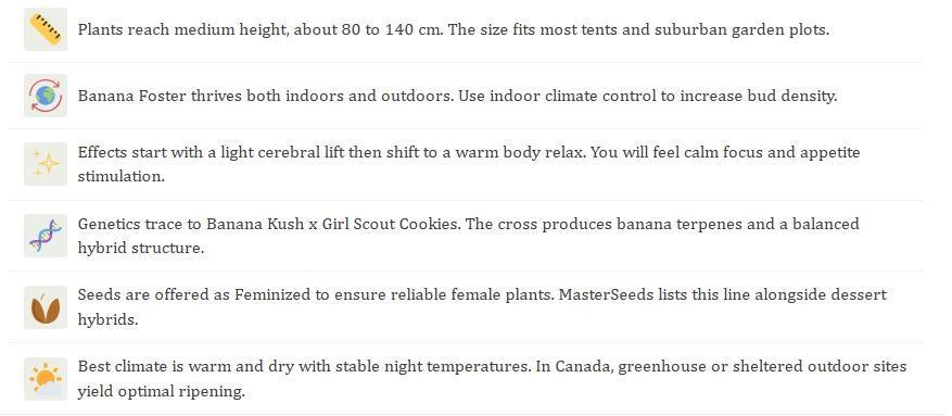 Banana 🍌 Gold Rush  🏆💰🌟. Week 0 - Banana Foster - Seed Description