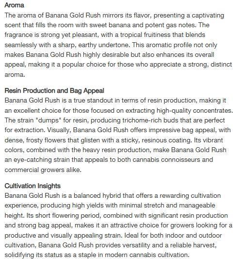 Banana 🍌 Gold Rush  🏆💰🌟. Week 0 - Golden States Seeds- Seed Description