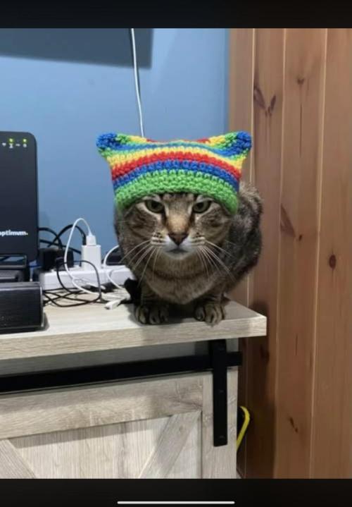 Runtz Mintz Cream by SnowShoe Joe. Week 9 - Rasta Cat.