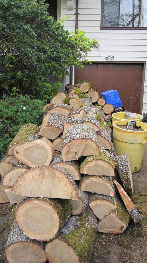 Runtz Mintz Cream by SnowShoe Joe. Week 11 - 2 Cords of Oak in my driveway. Worked hard, did it in one day. 😅
4 pickup loads