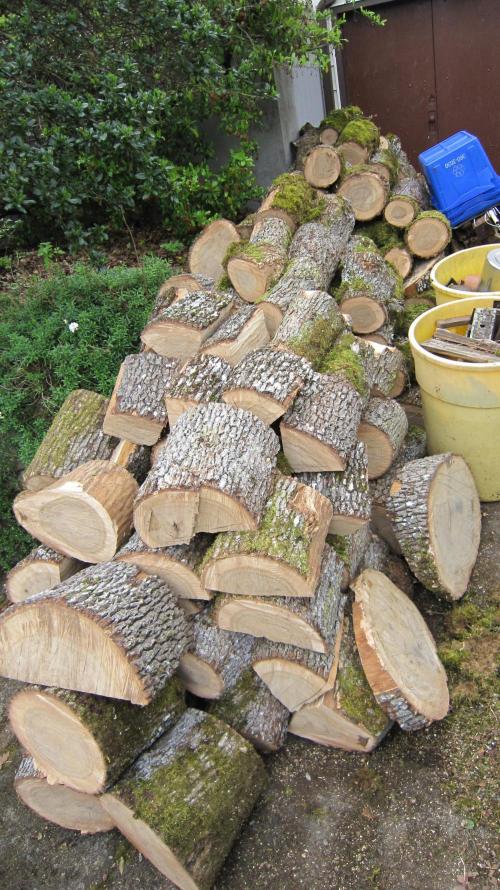 Runtz Mintz Cream by SnowShoe Joe. Week 11 - Still has to be split and stacked out back.